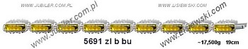 5691zlbbu