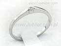 30_bg1096br_Si_H